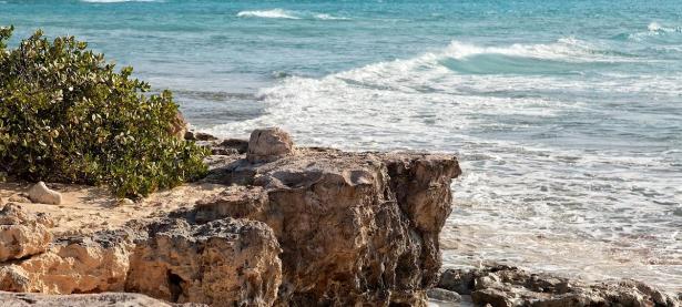 九游体育在线登录-特克斯与凯科斯岛不敌爱沙尼亚遭受失利