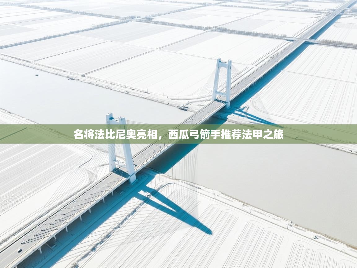 名将法比尼奥亮相，西瓜弓箭手推荐法甲之旅  第1张