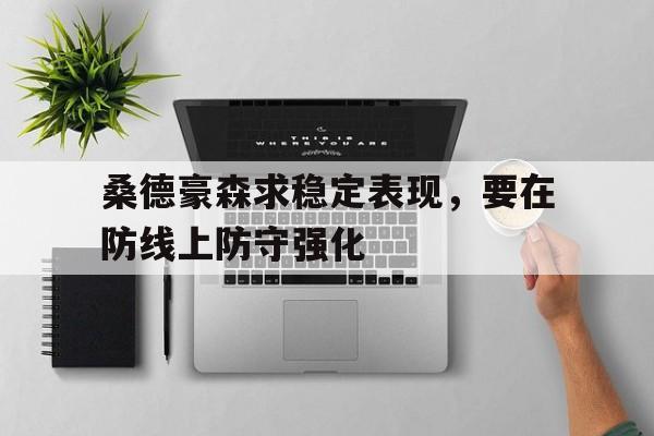 九游体育网页版入口-桑德豪森求稳定表现，要在防线上防守强化的简单介绍