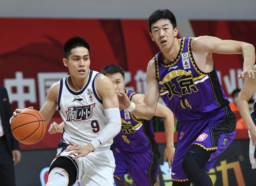 广东队主场迎战北京队，双方对决引发关注的简单介绍